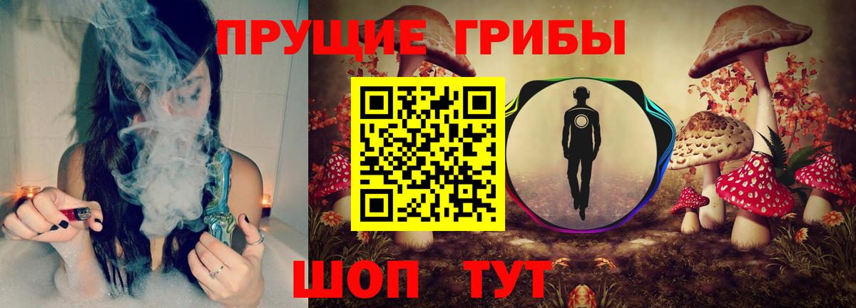 Псилоцибиновые грибы Cubensis  Вход с VPN  Тихвин 